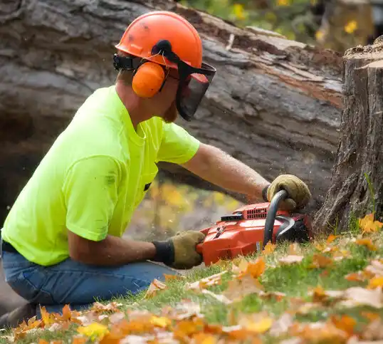 tree services Cumberland